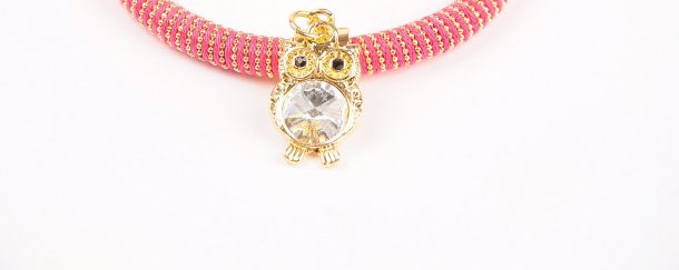 Bratara Smart Owl